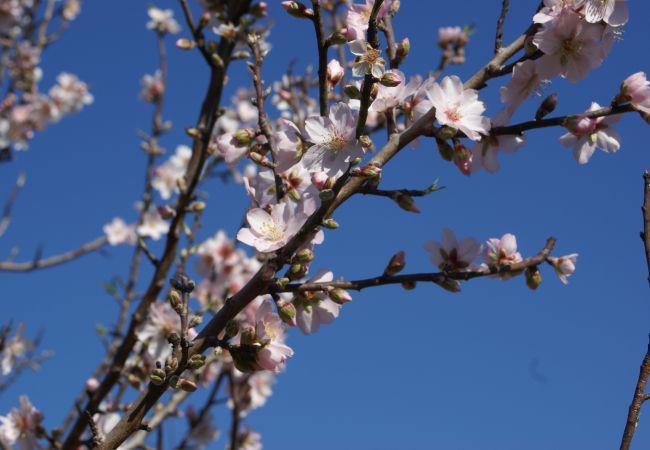 Villa à Galé - Casa 70 by Popular Villas Villa à Galé - Casa 70 by Popular Villas