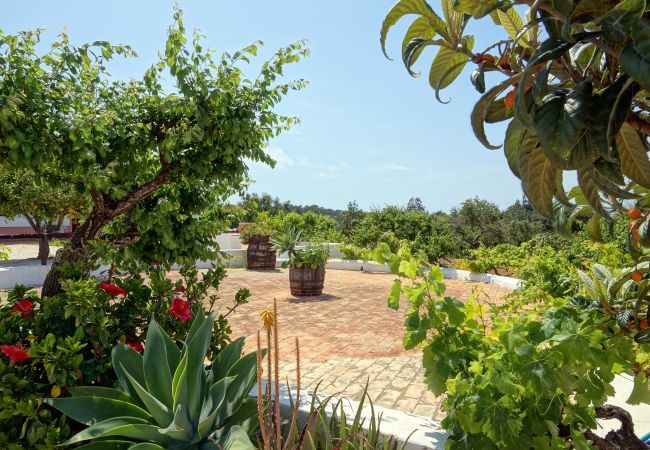 Villa à Albufeira - Villa Monte da Madrinha Villa à Albufeira - Villa Monte da Madrinha