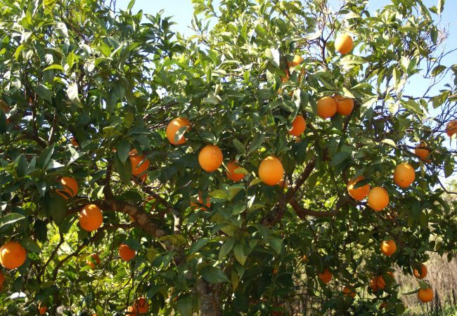 Villa à Albufeira - Villa Gira Villa à Albufeira - Villa Gira