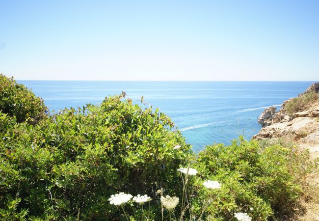 Appartement à Albufeira - Casa Pluma Appartement à Albufeira - Casa Pluma