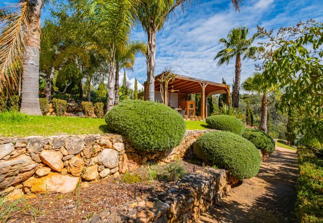 Villa à Albufeira - Caripira Villa à Albufeira - Caripira