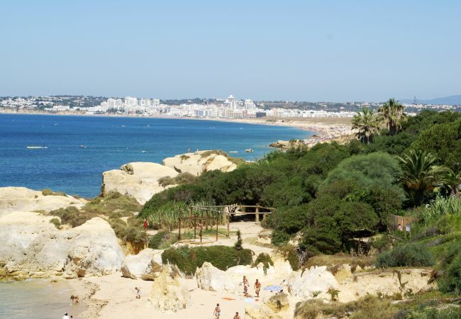 Villa in Albufeira - Villa Marquesa Villa in Albufeira - Villa Marquesa