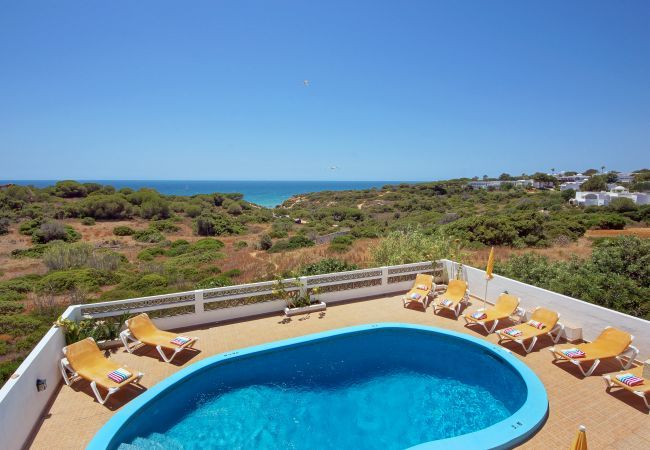 Villa in Albufeira - Villa Coelha Villa in Albufeira - Villa Coelha