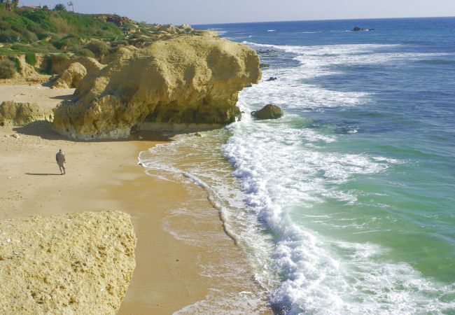 Villa in Albufeira - Villa Coelha Villa in Albufeira - Villa Coelha