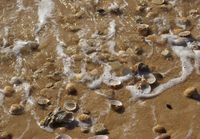 Villa in Albufeira - Villa Gianni Villa in Albufeira - Villa Gianni