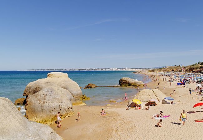 Villa in Albufeira - Villa Dois Pinheiros Villa in Albufeira - Villa Dois Pinheiros