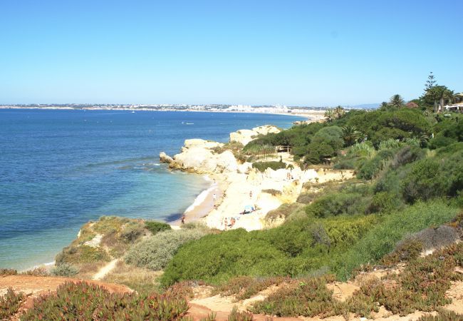 Villa in Albufeira - Villa Minerva Villa in Albufeira - Villa Minerva