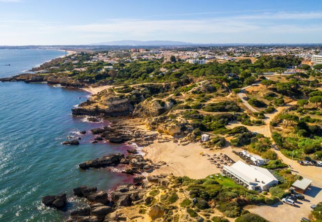 Villa in Albufeira - Villa Sequeira Villa in Albufeira - Villa Sequeira