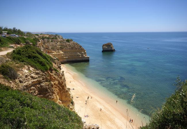 Villa in Albufeira - Villa Teresa Villa in Albufeira - Villa Teresa