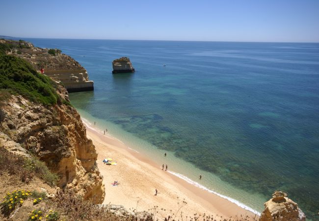 Villa in Albufeira - Villa Teresa Villa in Albufeira - Villa Teresa