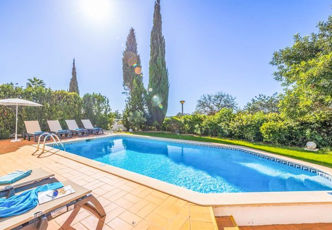 Villa in Albufeira - Villa Tulipa Negra Villa in Albufeira - Villa Tulipa Negra