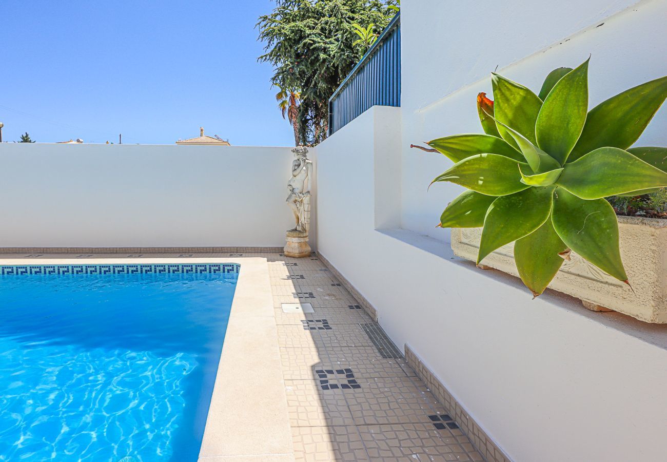 Villa in Albufeira - Villa Vivienda Rosa Villa in Albufeira - Villa Vivienda Rosa
